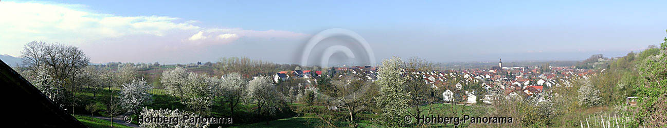 Niederschopfheim von Osten gesehen (180 Grad Panorama)
